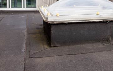 disadvantages of Rhiwbryfdir flat roofs