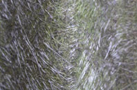 Rhiwbryfdir fibreglass roof work